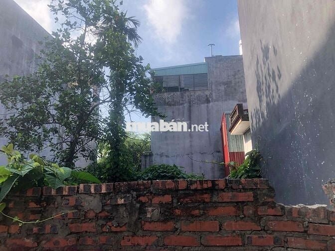 Đất 82m2 ngang 5m nở hậu, Văn Cú, An Đồng, An Dương 2,55 tỷ
