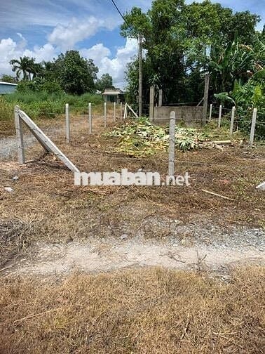 116m2 có thổ cư, gần chợ Phước Thạnh. Hơn 200tr. Tin nổi không