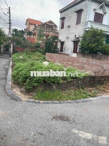 ĐẤT Ô TÔ VÀO - CÁCH CẦU TỨ LIÊN 1KM, ĐẦU TƯ SINH LỜI CAO