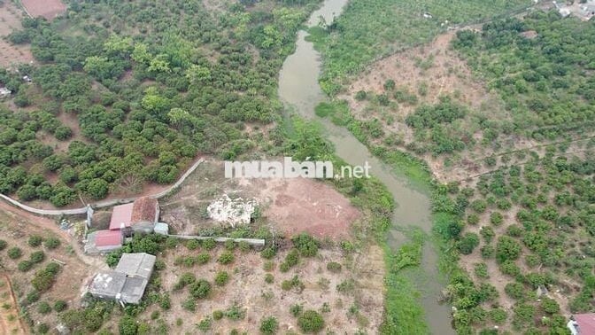 Đất nền lõi đô thị, phường Phượng Sơn