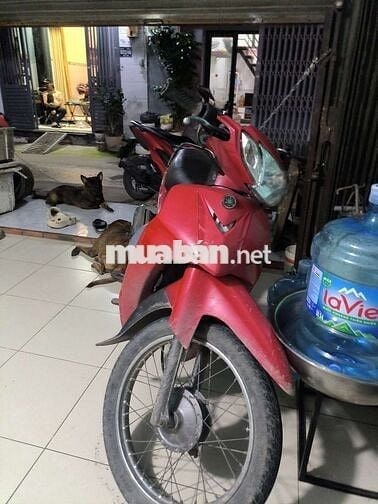 Nhà chật t.ly sirius thái