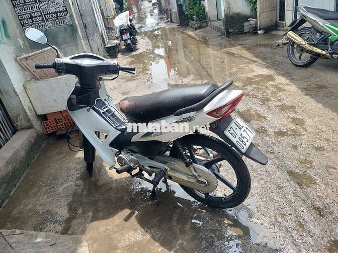 Cần bán chiếc cúp 50 dalim super có giấy