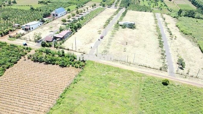 Lô 240m2 ngang 10m sổ hồng thổ cư,phường2,Bảo Lộc ngay Tâm Châu Resort