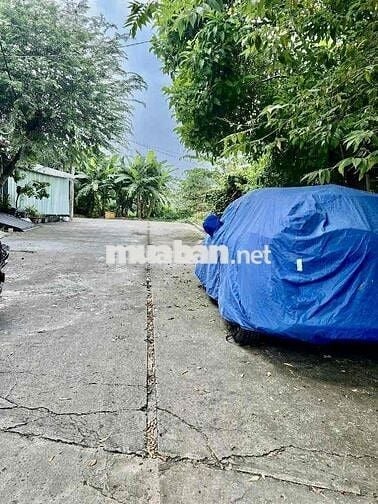 Gấp Bán, Cho Con Du Học, 91m2, P7, Q8. Nhỉnh 7 tỷ