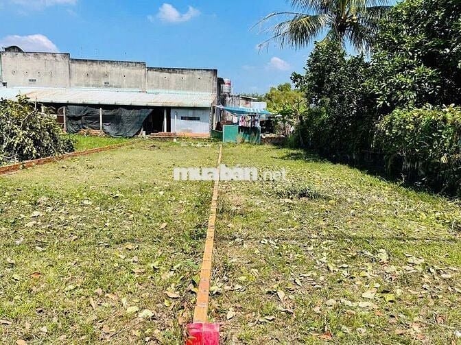 125M2 FULL THỔ CƯ 5x25 420 TRIỆU GẦN BV XUYÊN Á CỦ CHI SỔ RIÊNG
