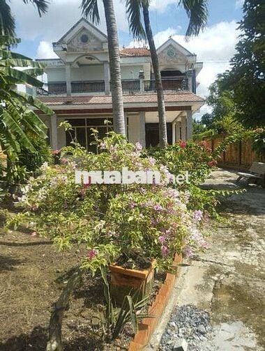 Cho thuê lâu dài biệt thự 1200m2 ở cạnh xã Tân Lý Tây cũ