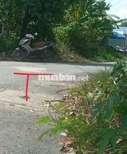 🙋‍♂️ ĐẤT NGỘP BANK CẦN BÁN NGANG RỘNG 13M ĐƯỜNG NHỰA THÔNG XE TẢI