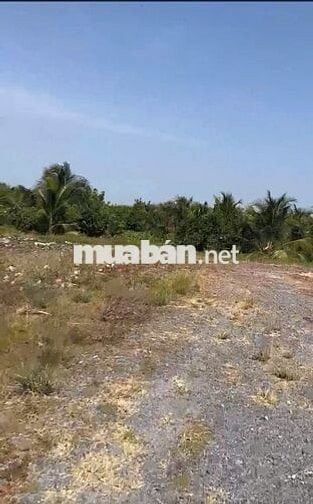 Bán 12.000M2 Đất Lúa -2 Mặt Tiền Châu Thị Kim, An Vĩnh Ngãi, TP Tân An