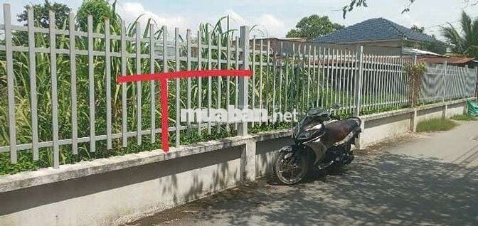🙋‍♂️CHỦ CẦN BÁN ĐẤT 597M² ĐÃ THỔ CƯ ĐƯỜNG NHỰA THÔNG XE TẢI GIÁ TỐT
