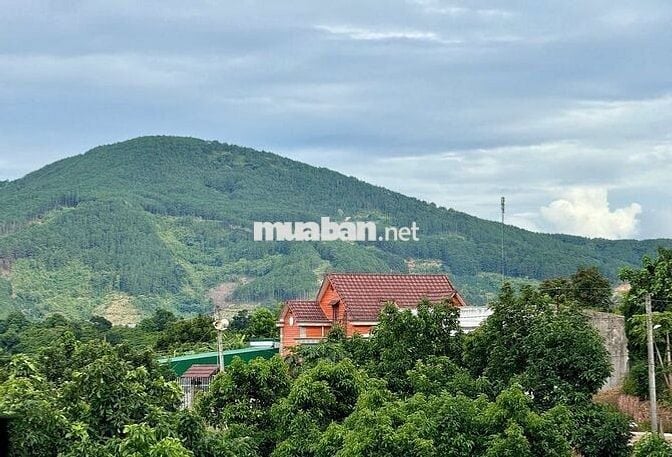 Đất xã Nam Ban cách Đường Điện Biên Phủ 500m sẵn thổ cư