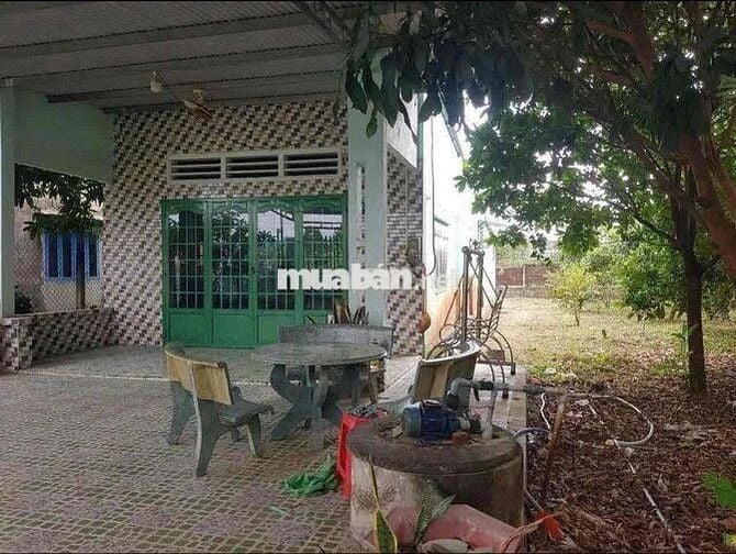 💥 NHÀ VƯỜNG CHƠN THÀNH – SỔ RIÊNG – GIÁ CHỈ 4XX💥