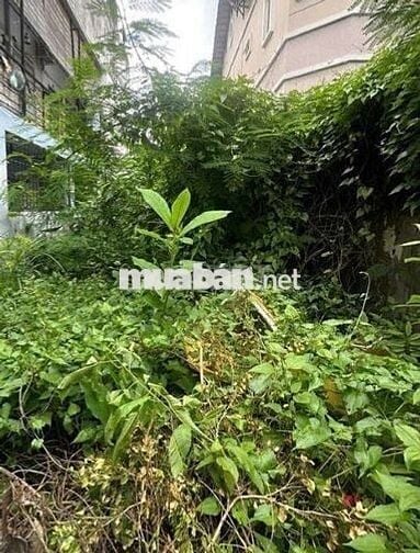 🔥LÔ ĐẤT HXH SÁT GIGAMALL – 128.8m² – XÂY 4 TẦNG – DÒNG TIỀN 70TR/THÁNG