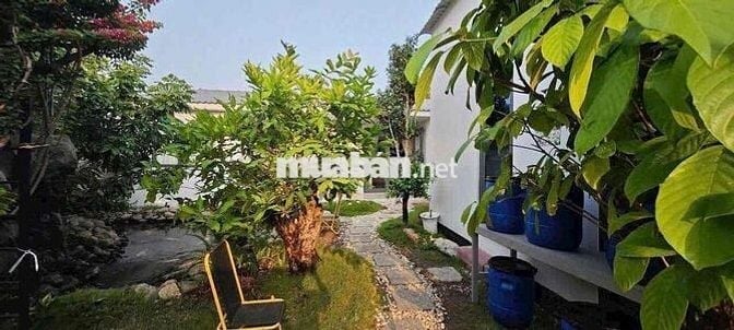 Cần Bán Gấp Lô Đất Làm Vườn Dt:1000m2 Đường Xe Hơi Giá Chỉ 1tr8/m2