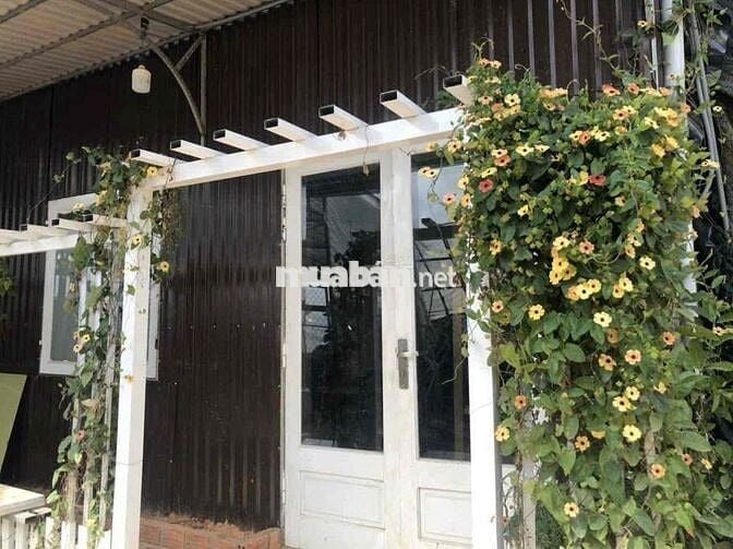 cho thuê nhà nguyên căn 3p ngủ