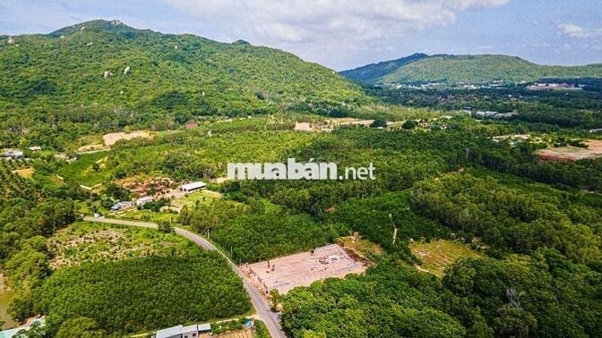 Bán đất tại Thị trấn Phước Hải, View núi Minh Đạm giá 2,05 tỷ, 255m2