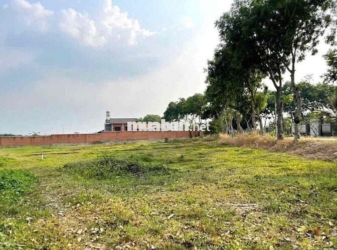 🏡 CHÍNH CHỦ GỬI BÁN ĐẤT ĐẸP – XÃ THÁI MỸ, CỦ CHI, TP.HCM 🏡