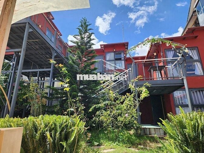 CHO THUÊ NHÀ VIEW SIÊU ĐẸP - 1000m2 Phường 6 ,Đà Lạt, Lâm Đồng