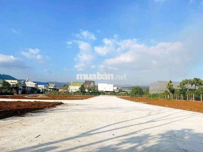 BÁN ĐẤT XÂY BIỆT THỰ NGHỈ DƯỠNG NGAY PHƯỜNG CAMLY ĐÀ LẠT GIÁ 2,5 TỶ