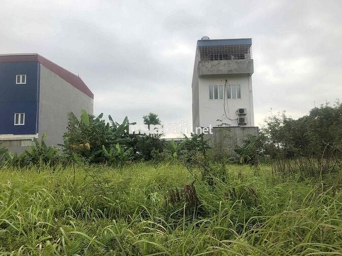 Đất thổ cư 100m2 ngang 5 khu nhà ở Anh Dũng 5 chỉ 1,88 tỷ đồng