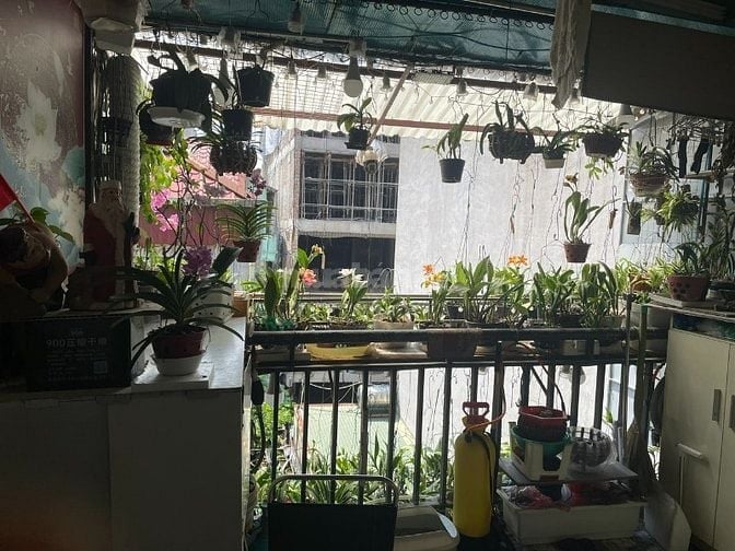 Gia đình chính chủ cần bán nhà Tập thể