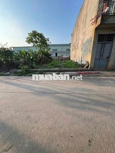 🌠 Tái Định Cư Hà Hồi Đang Lên  🔖 DT : 80M - Mặt Tiền 5M30 = Hậu 📍 Mặt