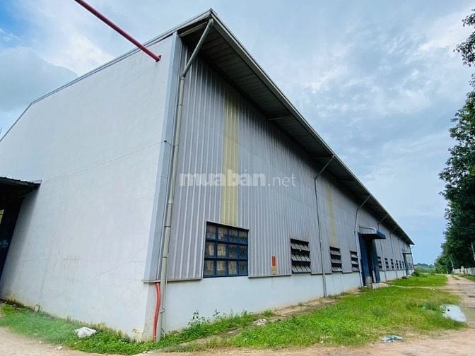 Cho thuê kho xưởng 5.000m2 - 30.000m2 , trong cụm CN Bến Lức , Long An