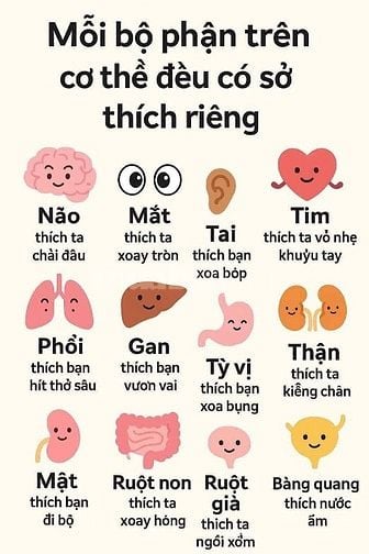 📙Nhận làm kế toán thuế trọn gói cho công ty nhỏ, hộ kinh doanh 