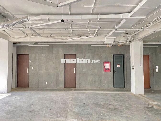 Cho thuê văn phòng đường Hoàng Việt, dt 228m²