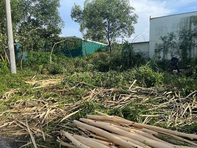 Cần bán đất TT Hải lăng gần khu công nghiệp visip