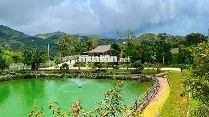 Cho thuê nhà nghỉ dưỡng Bảo Lộc