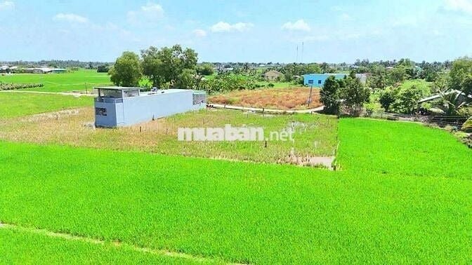 970m2 đất thổ cư đường xe tải Cầu Quay chỉ 950tr