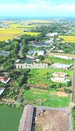 Quá ngộp, 1172m2 đất có 295m2 thổ cư 22 x 51m, chốt 850tr