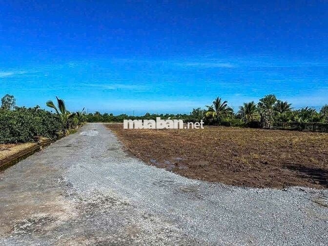 🇨🇳 Đất vườn+thổ dt712m  giá 1tỷ450 cách 816 chỉ 300m bình đức B.L.