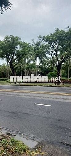 Bán đất kiệt ô tô Trần Văn Dư ngay khu Du lịch sầm uất sát biển