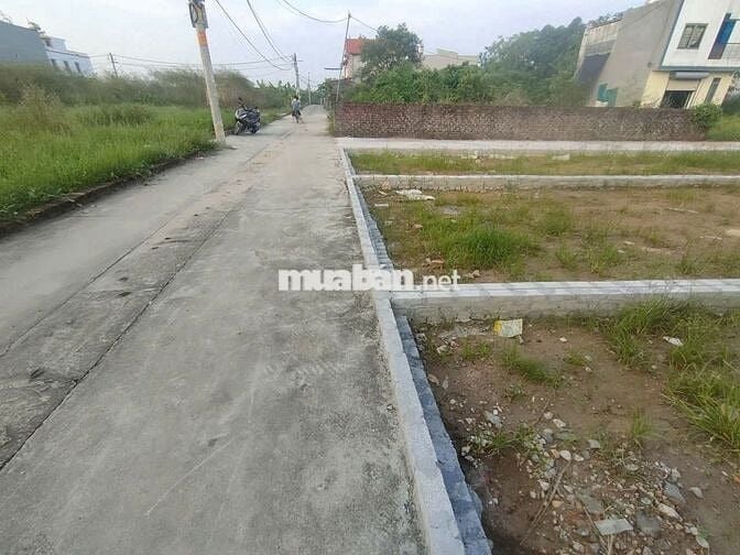 BÁN ĐẤT ẤP TRE, XÃ QUANG MINH - ÔTÔ VÀO ĐẤT, 100% THỔ CƯ(chỉ 2.6tỷ/lô)