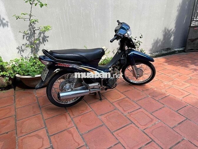 wave máy zin biển hà nội