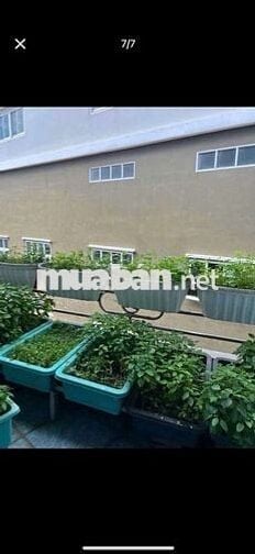 Cho thuê nhà một trệt một lầu hẻm Trương Công Định  Vũng Tàu