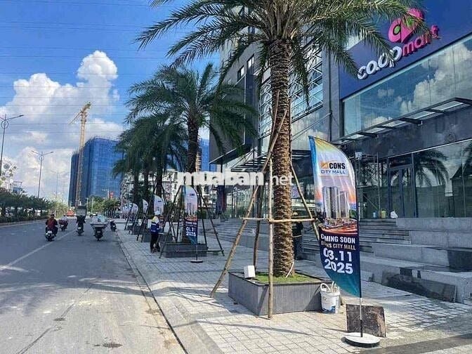 Bán đất mặt tiền đường Tôn Thất Tùng (Thống Nhất), cổng bệnh viện đại