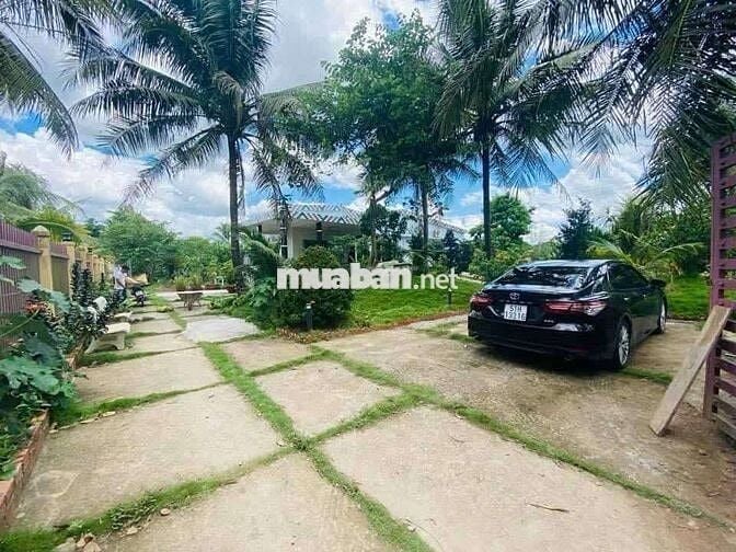 ĐẤT VƯỜN NGHỈ DƯỠNG CHÂU THÀNH BẾN TRE