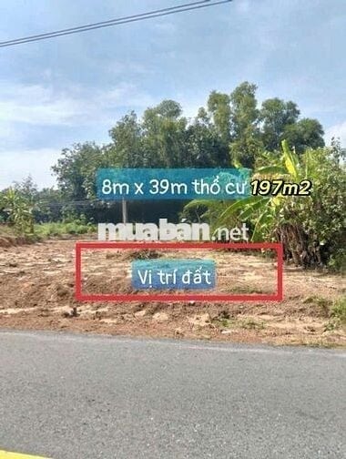 Mặt tiền Balangxi càu mắm  giá cần bán gấp