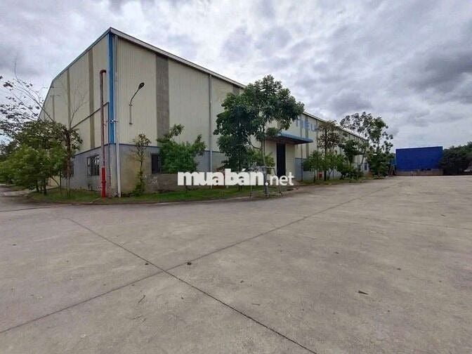 Nhà Xưởng Thuê Dĩ An BD. Dt: 4000m xưởng kiên cố