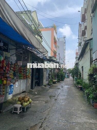 🏡 Bán đất đẹp hẻm Dương Quảng Hàm, Gò Vấp