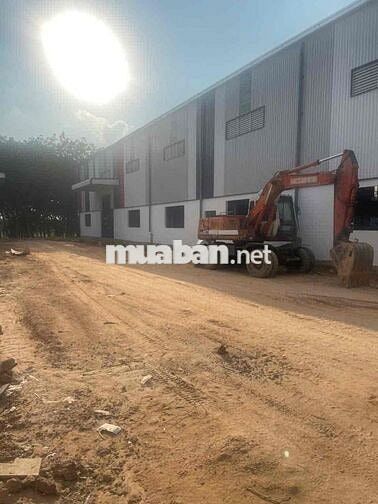 nhà xưởng bàu bàng 11500 cho thuê