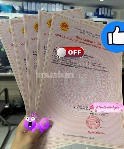 Gửi vàng – lời ít. Mua đất – lời gấp chục lần trong 10 năm!