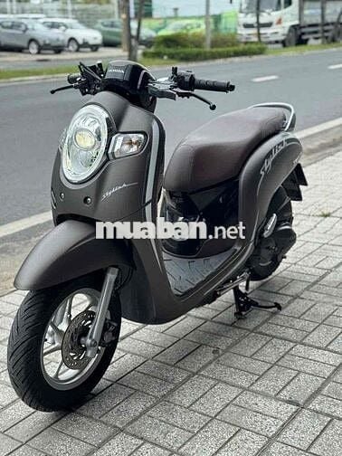 Scoopy xe đẹp máy zin