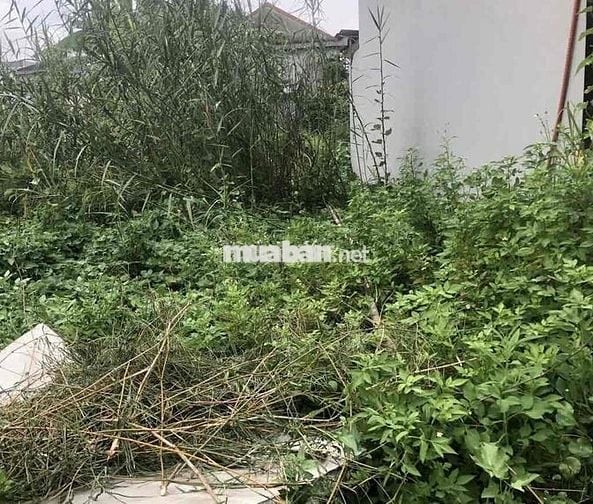 Đất 72m2 lô góc Thôn 2, Bắc Sơn, An Dương