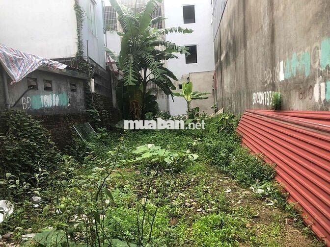 Đất 134m2 ngang 5 nở hậu HXH Vĩnh Khê, An Đồng 2,73 tỷ đồng