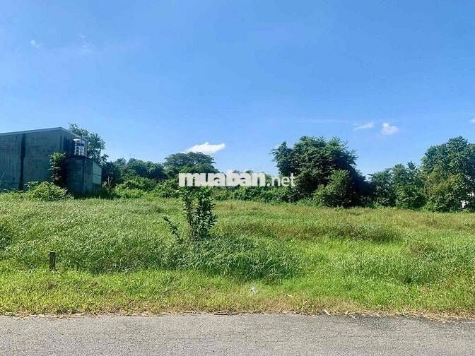 135m2 đất Tân An Hội mới mặt tiền đường 14m - SHR
