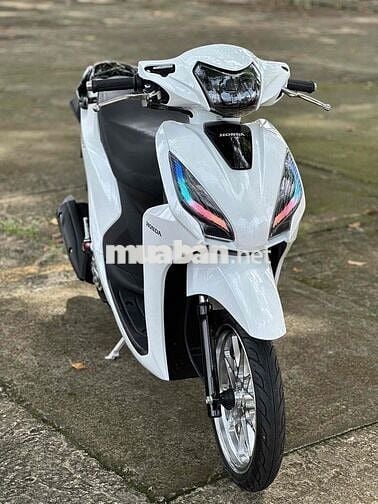 Vision 2019 Smarkey kiểng có góp