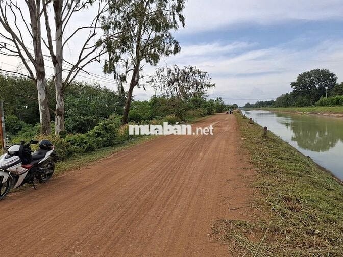 1.2 mẫu, mặt tiền kênh Đông, ngay KCN. 150TR (1m)